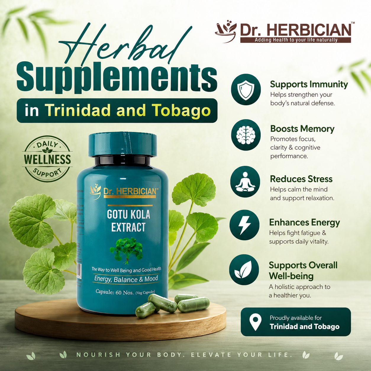 Dr. Herbician Gotu Kola Extract herbal supplements in Trinidad and Tobago supporting memory, energy, mood balance, and overall wellness.