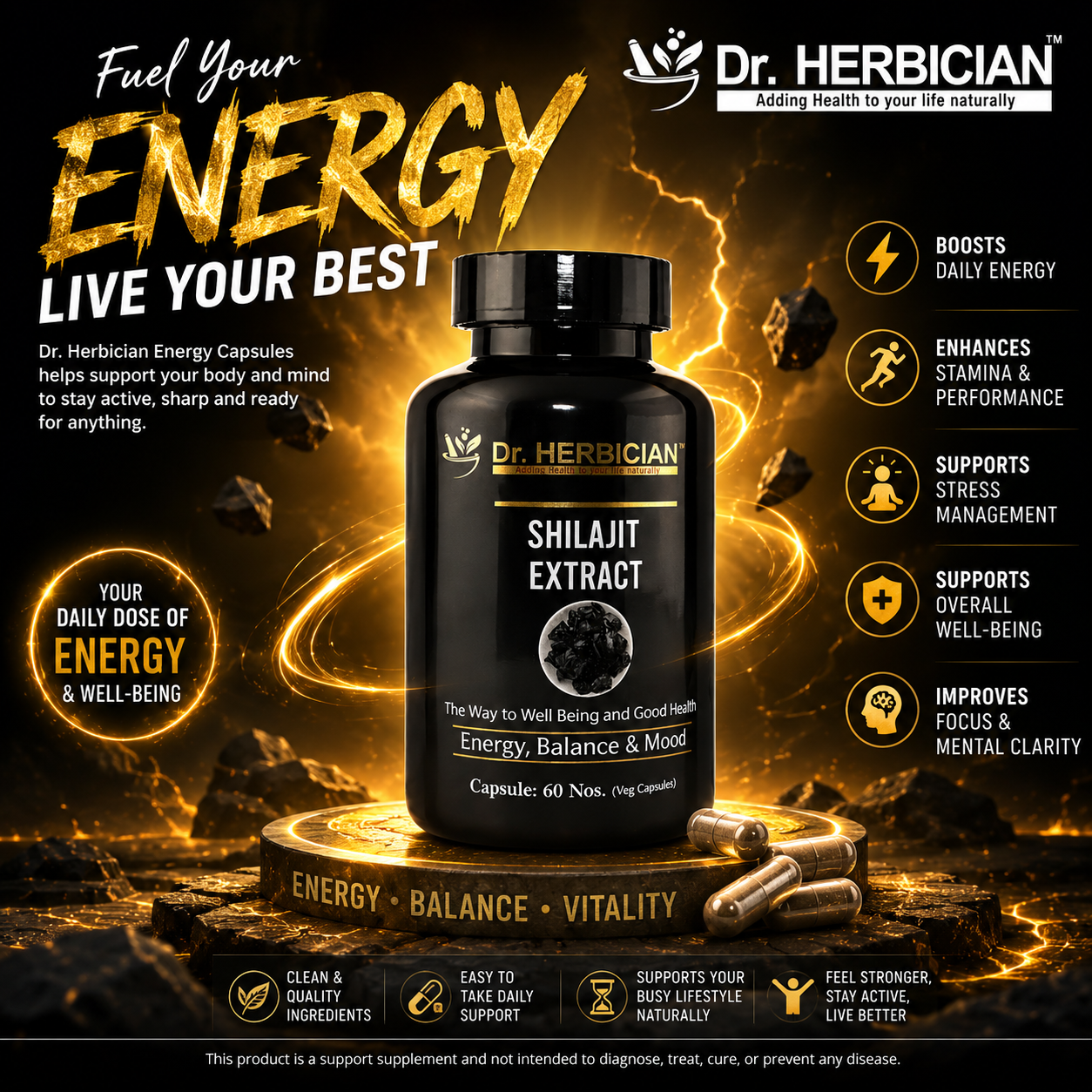 Dr. Herbician Shilajit Extract energy capsules for daily energy and vitality support