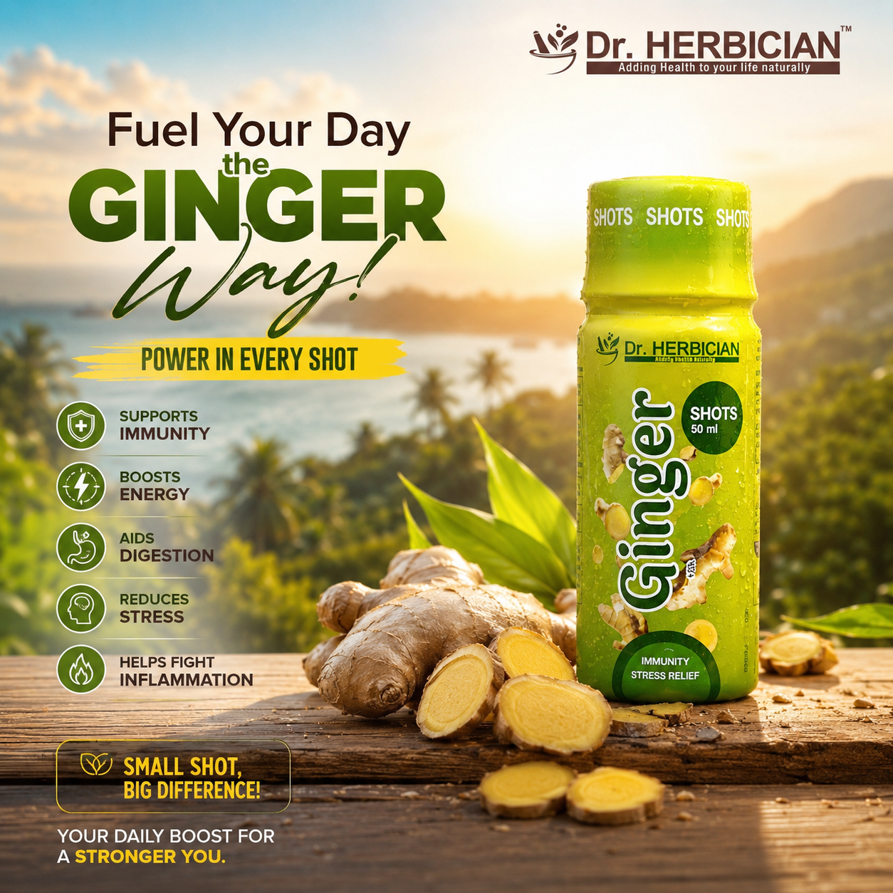 Dr. Herbician Ginger Shots in Trinidad and Tobago – Daily wellness shot that supports immune health, healthy digestion, natural energy, and overall wellness.