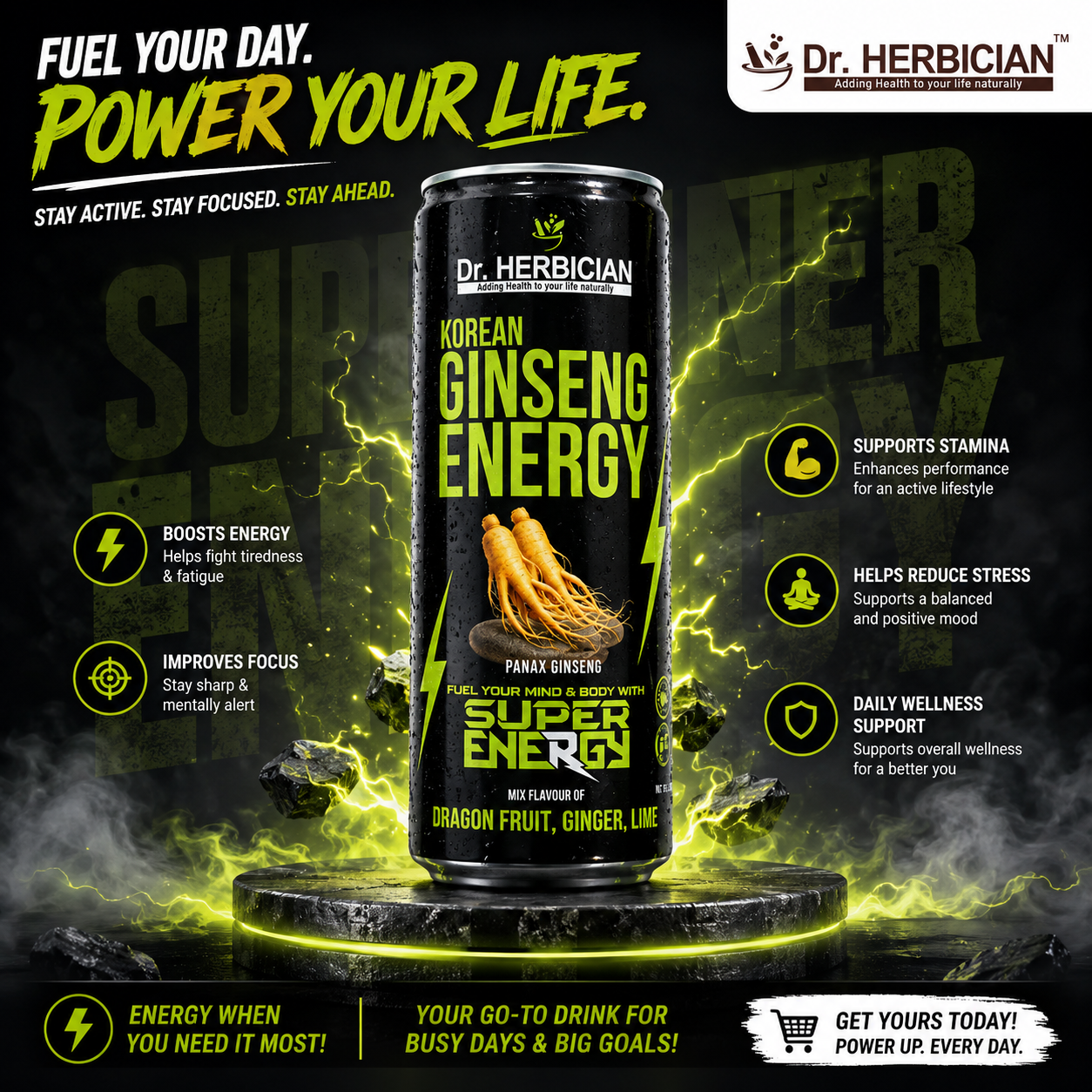 Dr. Herbician Korean Ginseng Energy Drink can featuring Panax ginseng, presented as a convenient herbal wellness drink for active lifestyles in Trinidad and Tobago.